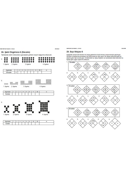 Üstün Zekalılar Enstitüsü Matematik Bulmacaları 2. Seviye