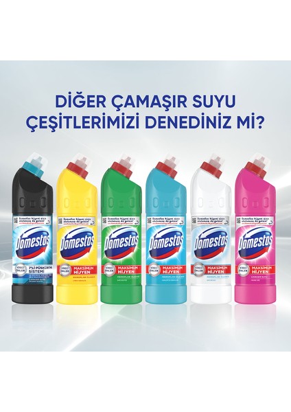 Dağ Esintisi Maksimum Hijyen Çamaşır Suyu 750 ml - 3'lü Paket