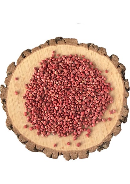 Ispanak Tohumu | 50 G