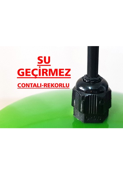 10 Adet Yeşil Ağaç Feneri