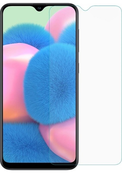 Samsung Galaxy A30S 9H Temperli Campet Nano Ekran Koruyucu
