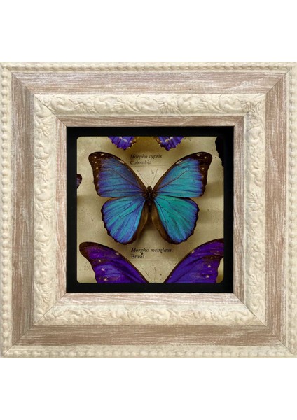 Decor Çerçeveli Taş Duvar Dekoru