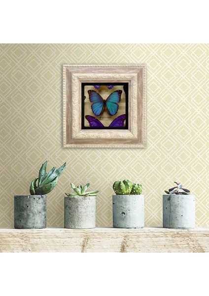 Decor Çerçeveli Taş Duvar Dekoru fiyatları