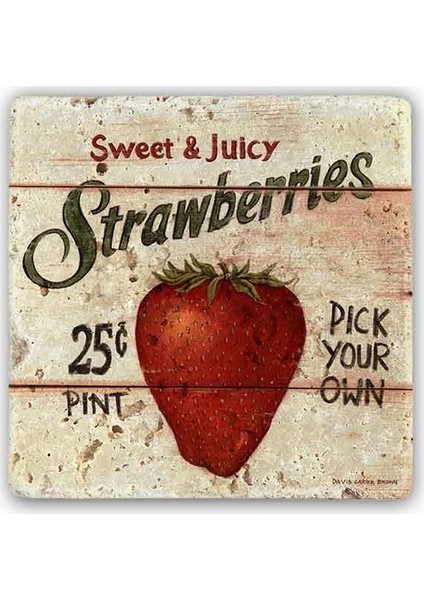 Decor Doğaltaş Duvar Dekoru