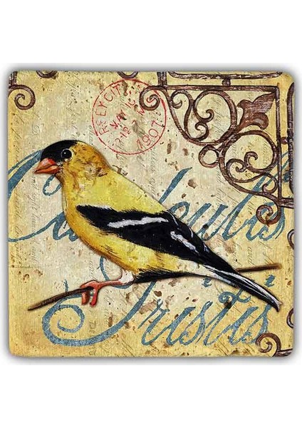 Decor Doğaltaş Duvar Dekoru