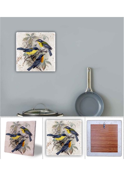 Decor Doğaltaş Duvar Dekoru