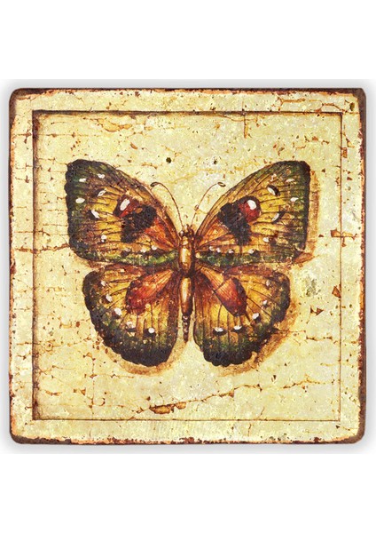 Decor Doğaltaş Duvar Dekoru