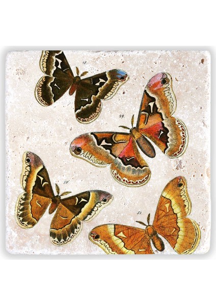 Decor Doğaltaş Duvar Dekoru