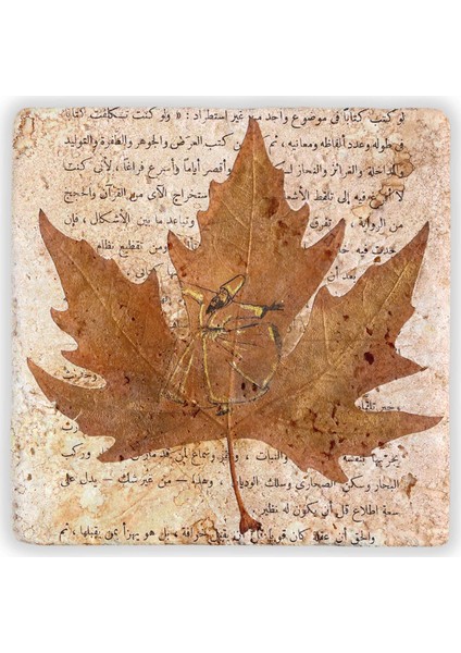 Decor Doğaltaş Duvar Dekoru