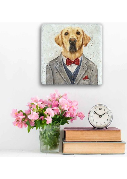 Decor Doğaltaş Duvar Dekoru fiyatları