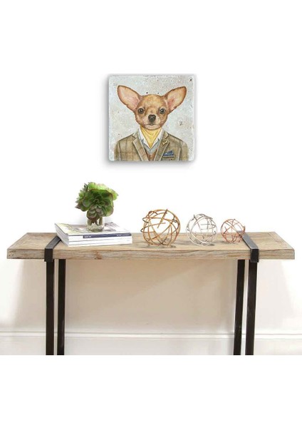 Decor Doğaltaş Duvar Dekoru fiyatları