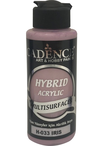 H033 İris - Multisurfaces 120ML