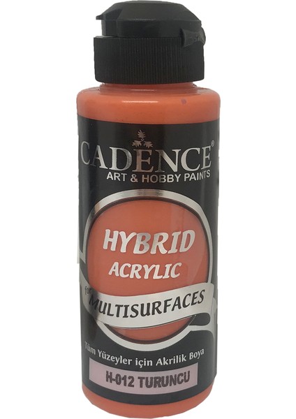 H012 Turuncu - Multisurfaces 120ML