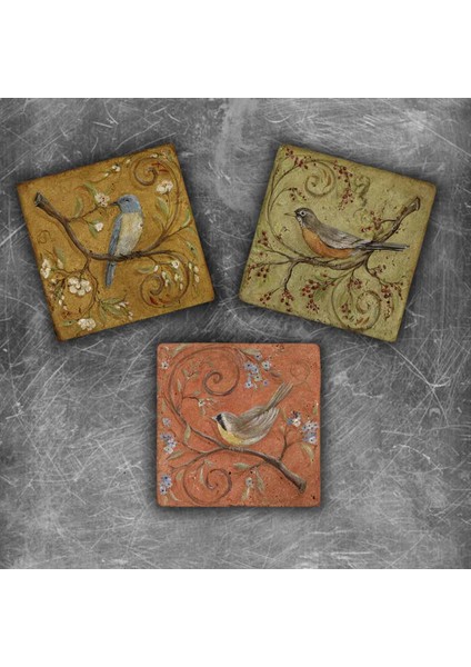Decor Doğaltaş Magnet - 3'lü Set