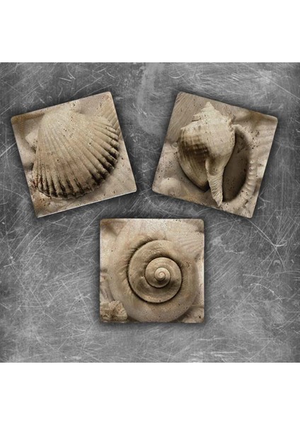 Decor Doğaltaş Magnet - 3'lü Set