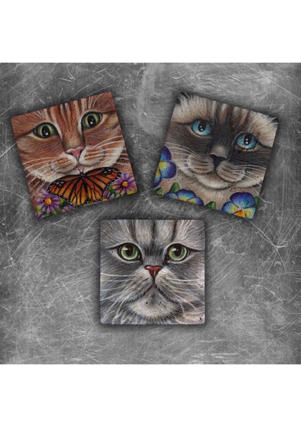 Decor Doğaltaş Magnet - 3'lü Set