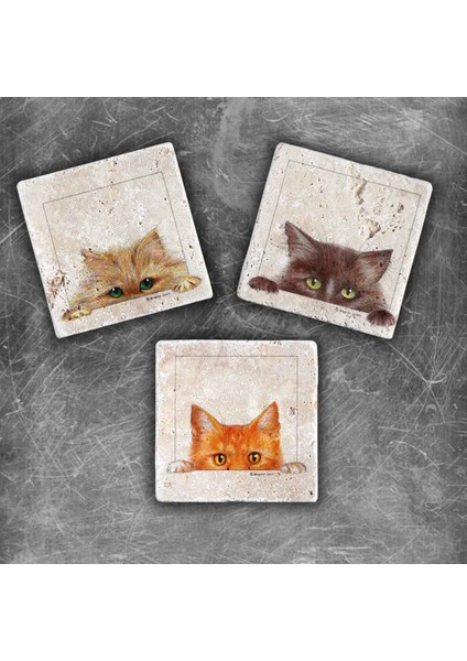Decor Doğaltaş Magnet - 3'lü Set