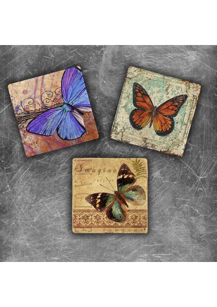 Decor Doğaltaş Magnet - 3'lü Set