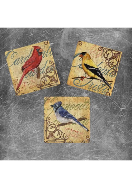 Decor Doğaltaş Magnet - 3'lü Set