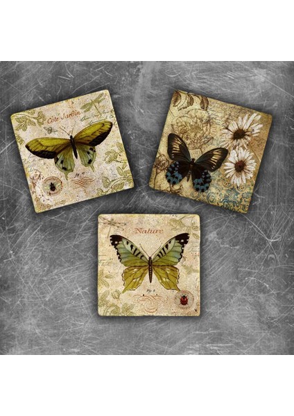 Decor Doğaltaş Magnet - 3'lü Set