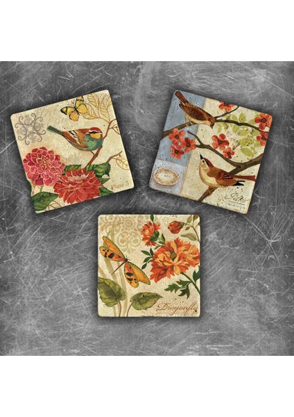 Decor Doğaltaş Magnet - 3'lü Set