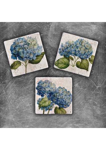 Decor Doğaltaş Magnet - 3'lü Set