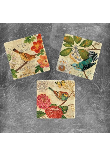 Decor Doğaltaş Magnet - 3'lü Set