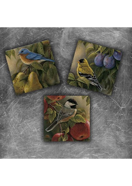 Decor Doğaltaş Magnet - 3'lü Set