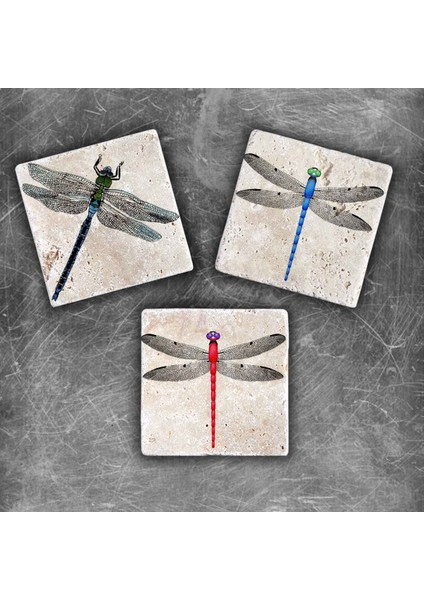 Decor Doğaltaş Magnet - 3'lü Set