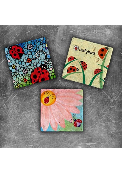 Decor Doğaltaş Magnet - 3'lü Set