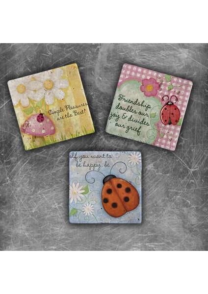 Decor Doğaltaş Magnet - 3'lü Set