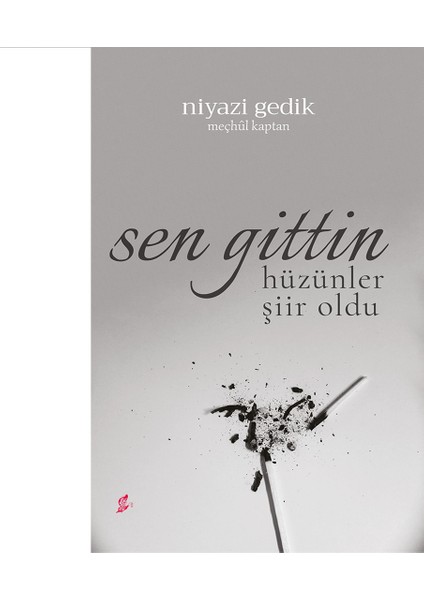 Sen Gitttin - Niyazi Gedik