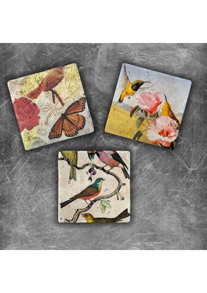 Decor Doğaltaş Magnet - 3'lü Set