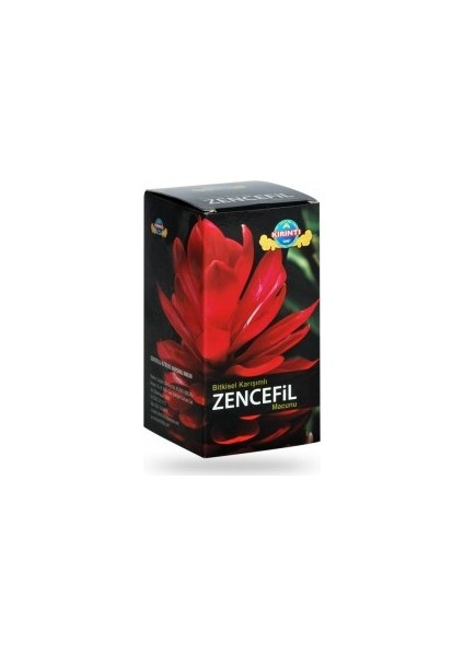 Zencefil Macunu Mentollü 230 gr