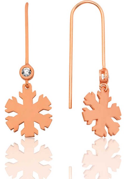 Ea1160168 Gümüş Kar Tanesi Küpe