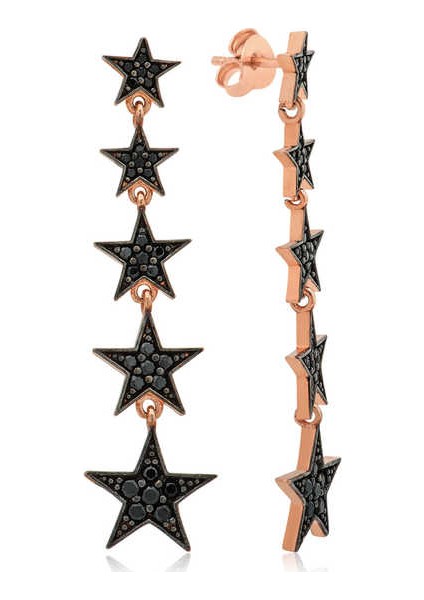 Gümüş Sıralı Yıldızlar Küpe