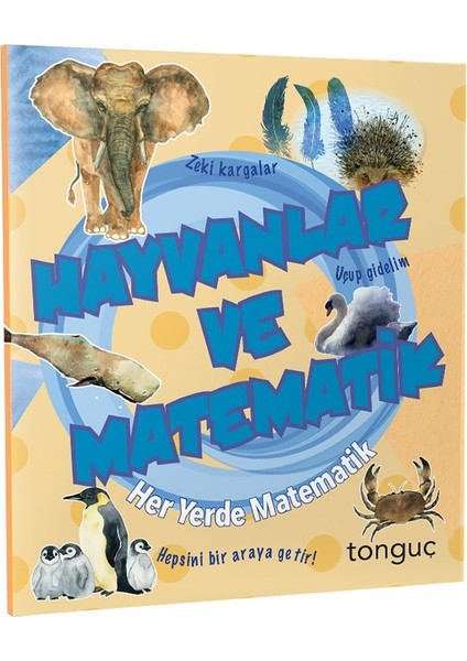Hayvanlar Ve Matematik Her Yerde Matematik Serisi Tonguç Akademi