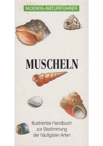 Muscheln - Moewig