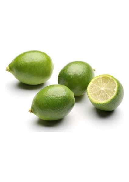 Lime Misket Limon Fidanı