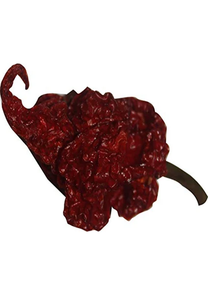 Tohumcu Kikizade Kurutulmuş Carolina Reaper Acı Biber