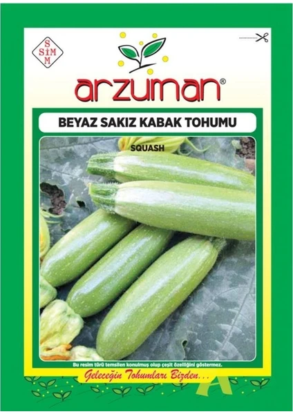 Beyaz Sakız Kabak 10 gr