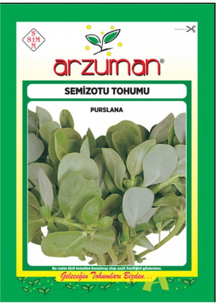 Semizotu Iri Yapraklı 10 gr