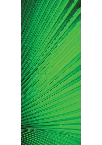 Buz Dolabı Beyaz Eşya Sticker 109 fiyatları