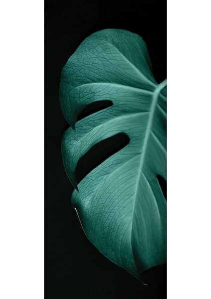 Buz Dolabı Beyaz Eşya Sticker 128 fiyatları