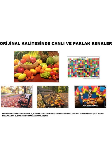 EmgeToner Utax 2155 / PK-5014 4 Renk Set Cmyk Çipli Muadil Toner