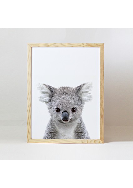 Baby Animals Ahşap Çerçeve - Yavru Koala