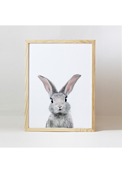 Baby Animals Ahşap Çerçeve - Yavru Tavşan