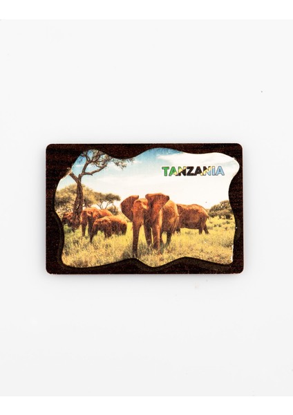 Tanzanya Temalı Deri Magnet Ahşap Tabaka
