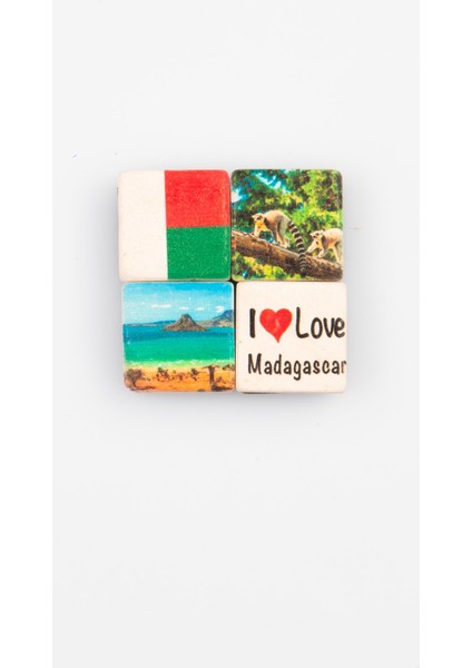 Madagaskar Temalı Dörtlü Taş Magnet