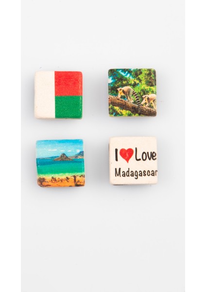 Madagaskar Temalı Dörtlü Taş Magnet